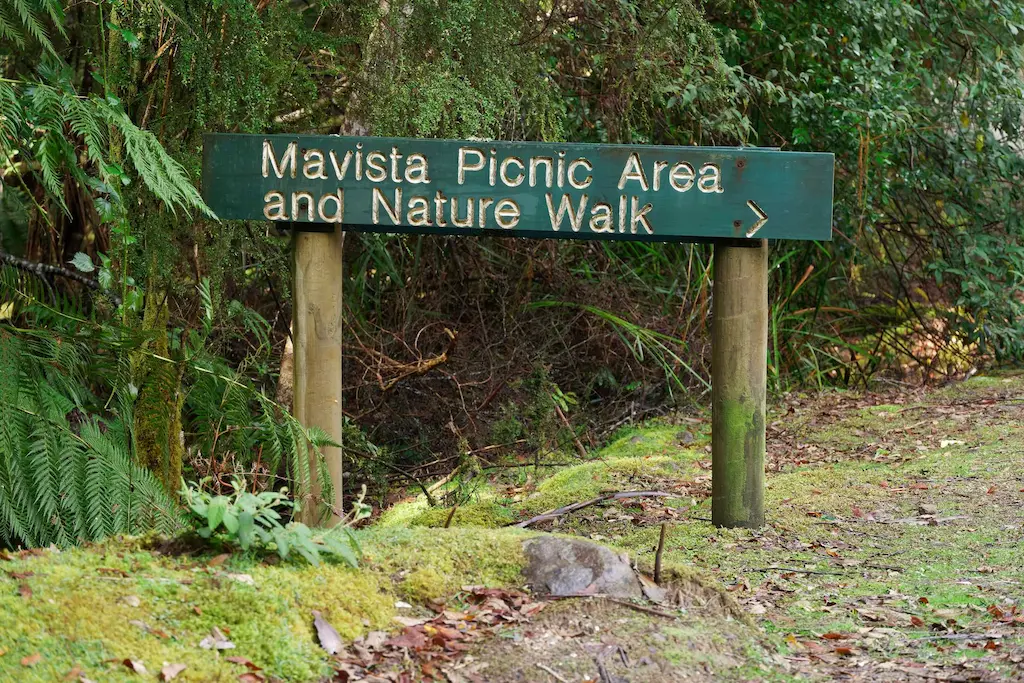 Day 2: Bruny Island (Mavista Rainforest Walk)